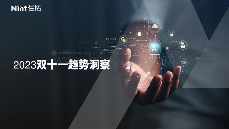 20231219_任拓_消费行业双十一复盘：突围低价从内容种草到确定性增长_45页.pdf_第2页