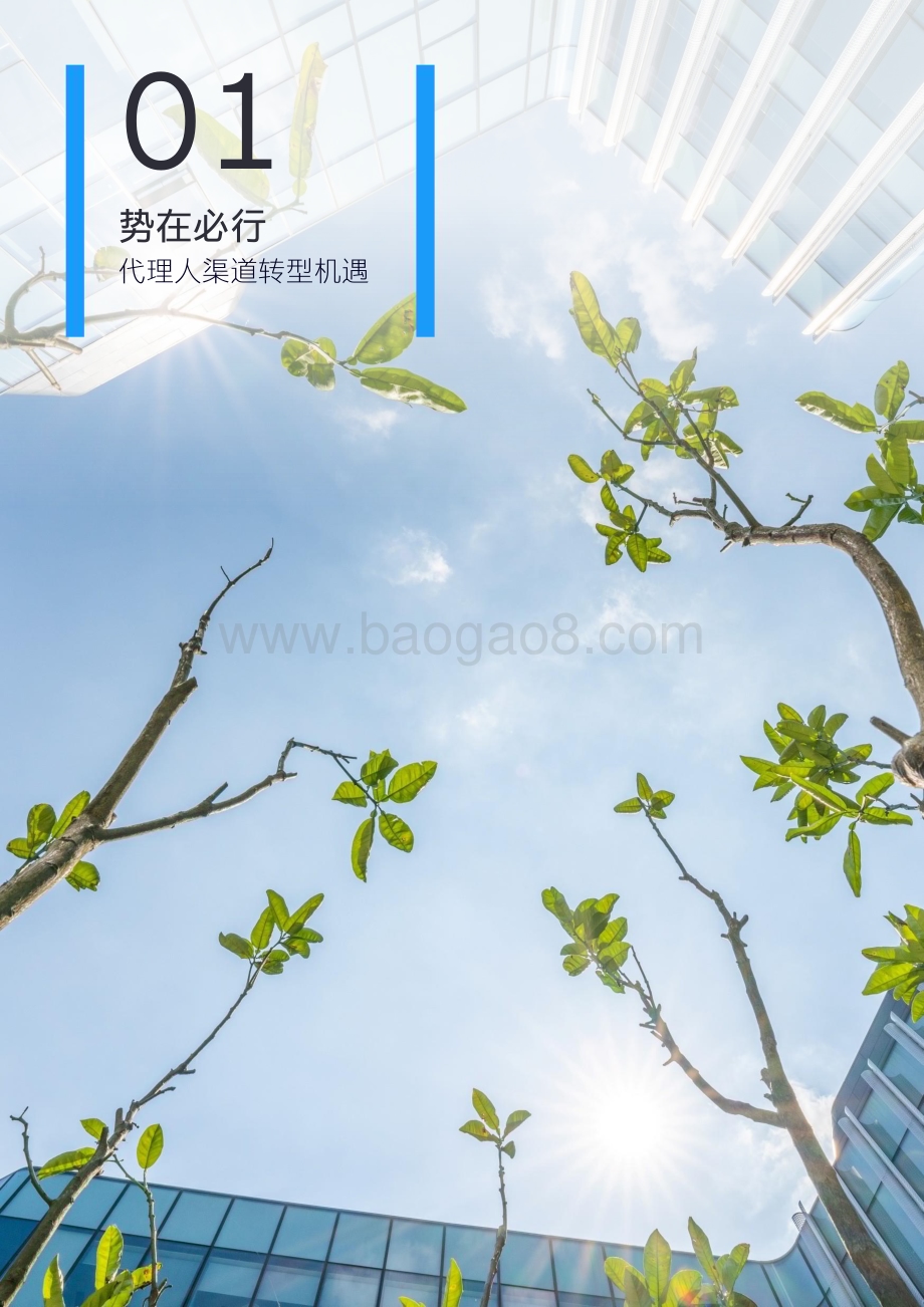 20231225_安永_保险行业寿险公司基本法？？书：立足基本法的代理人渠道转型之路_25页.pdf_第4页
