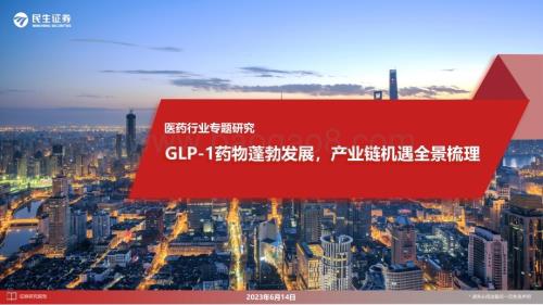 20230615_民生证券_医药行业证券研究报告：GLP_1药物蓬勃发展产业链机遇全景梳理_61页.pdf