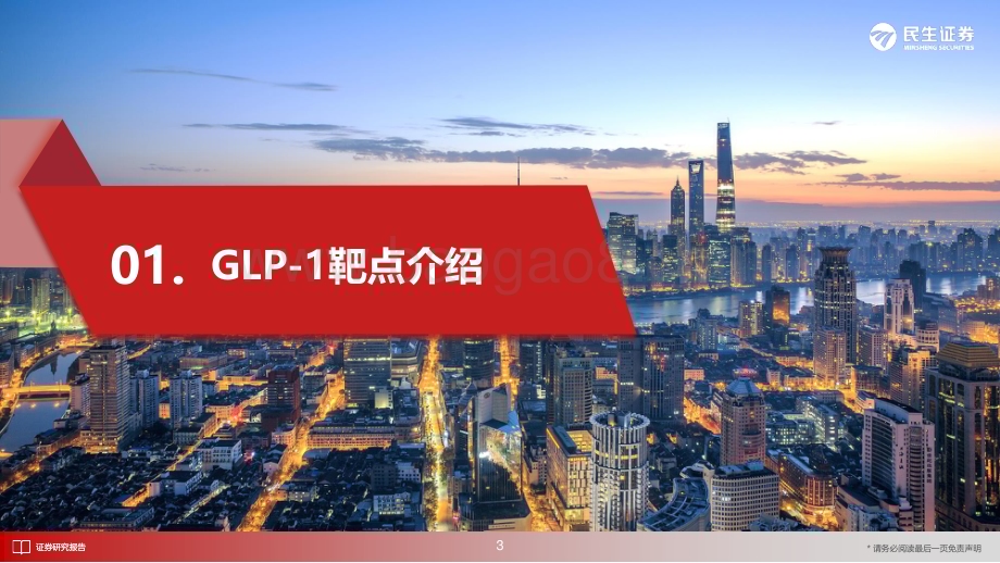 20230615_民生证券_医药行业证券研究报告：GLP_1药物蓬勃发展产业链机遇全景梳理_61页.pdf_第4页