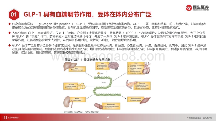 20230615_民生证券_医药行业证券研究报告：GLP_1药物蓬勃发展产业链机遇全景梳理_61页.pdf_第5页