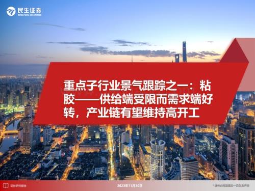 20231130_民生证券_化工行业重点子行业：粘胶供给端受限而需求端好转产业链有望维持高开工_25页.pdf