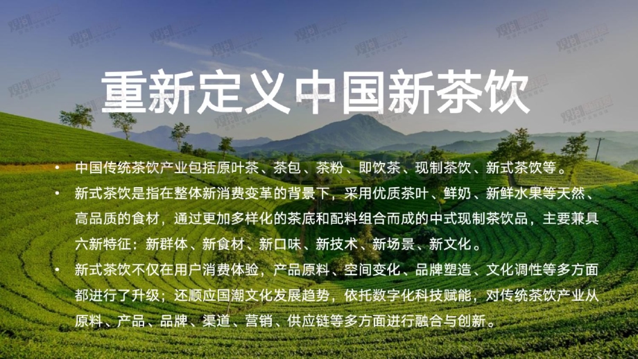 20231121_观潮新消费_食品饮料行业：2023国潮新茶饮产业发展洞察报告_60页.pdf_第3页