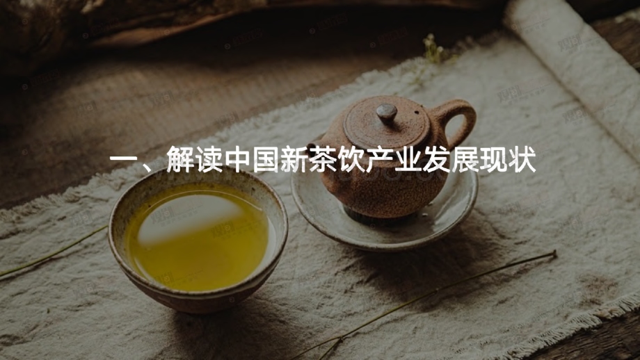 20231121_观潮新消费_食品饮料行业：2023国潮新茶饮产业发展洞察报告_60页.pdf_第5页