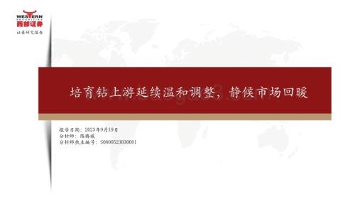 20230919_西部证券_2023年培育钻石行业研究报告：培育钻上游延续温和调整静候市场回暖_26页.pdf