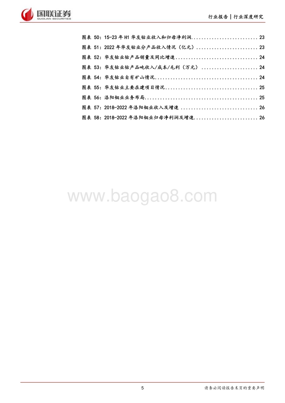 20231019_国联证券_能源金属行业证券研究报告：钴供给端加速释放关注具有增量的公司_27页.pdf_第5页