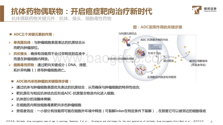 20230722_德邦证券_医药行业ADC药物系列专题报告：由同质化走向多元化联合疗法鸣枪起跑_38页.pdf_第5页