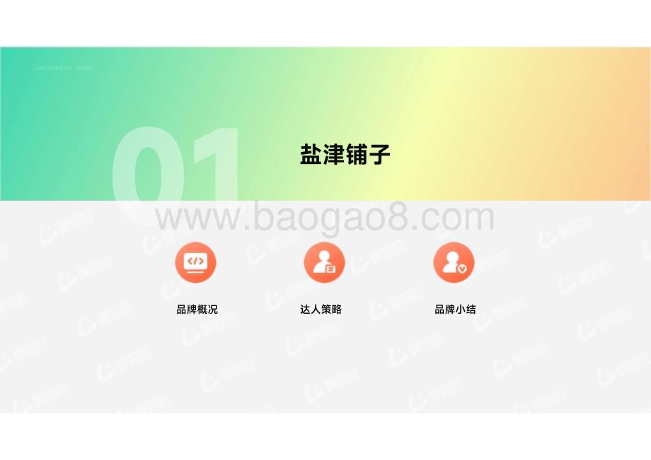 20231123_蝉妈妈数据_营销行业研究报告：达人营销品牌案例_51页.pdf_第4页