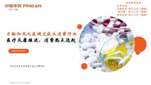 20230823_平安证券_医健文旅大消费行业研究报告：医疗反腐推进消费热点迭起_21页.pdf