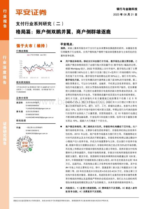 20230821_平安证券_支付行业研究报告：格局篇账户侧双鹏并翼商户侧群雄逐鹿_23页.pdf