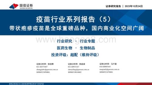 20231024_国信证券_疫苗行业证券研究报告：带状疱疹疫苗是全球重磅品种国内商业化空间广阔_31页.pdf