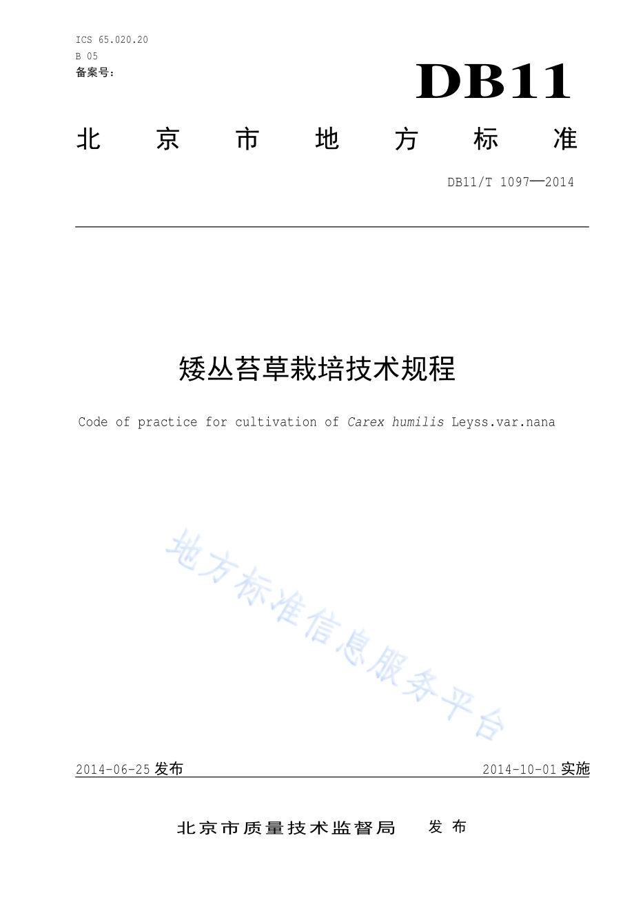 矮丛苔草栽培技术规程DB11／T 1097-2014.pdf_第1页