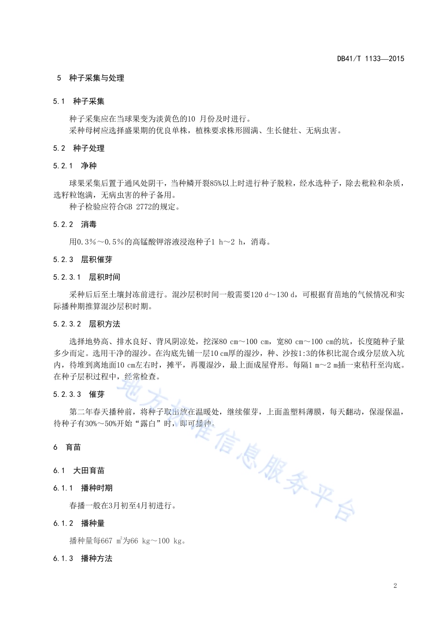 白皮松育苗技术规程DB41／T 1133-2015.pdf_第4页