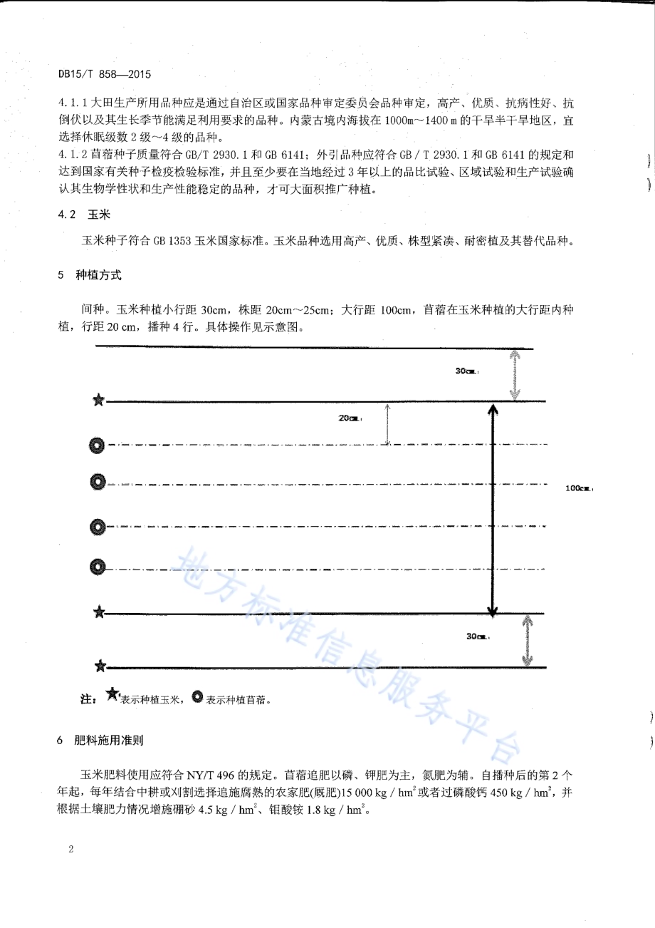 干旱区苜蓿间种玉米草地建植技术规程DB15／T 858-2015.pdf_第4页