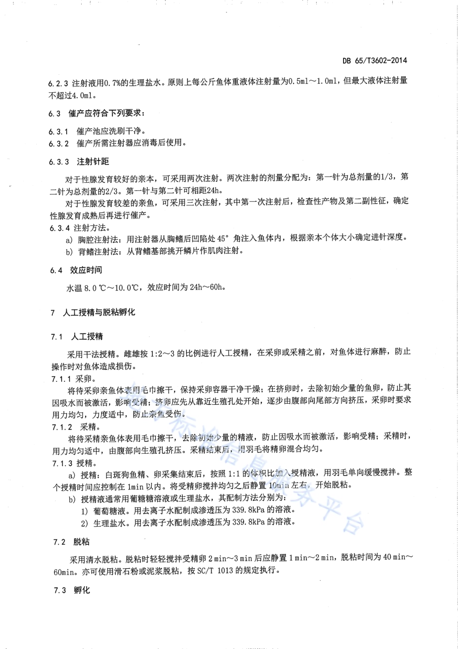 白斑狗鱼人工繁殖技术规程DB65／T 3602-2014.pdf_第5页