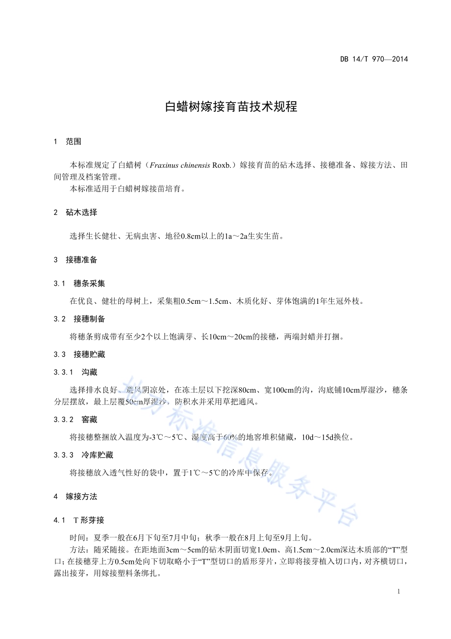 白蜡树嫁接育苗技术规程DB14／T 970-2014.pdf_第5页