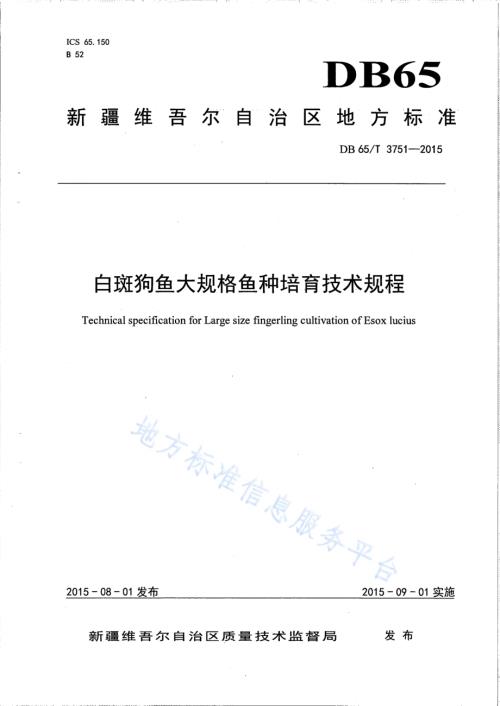 白斑狗鱼大规格鱼种培育技术规程DB65／T 3751-2015.pdf