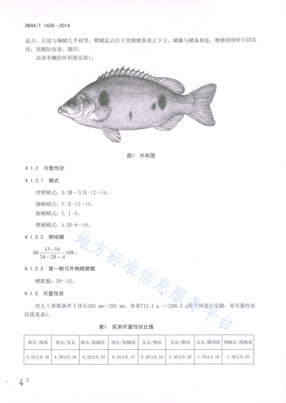 高体革鯻（种质）DB44／T 1428-2014.pdf_第4页