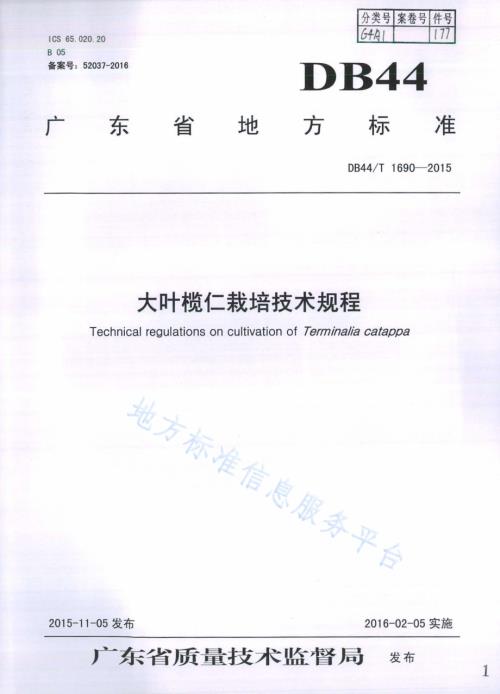 大叶榄仁栽培技术规程DB44／T 1690-2015.pdf