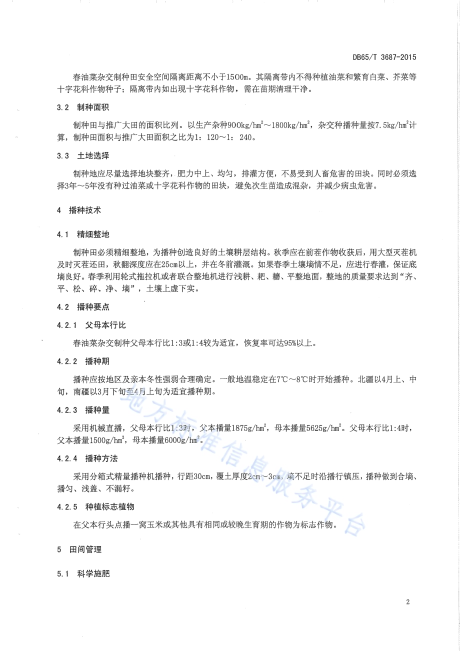 春油菜杂交种制技术规程DB65／T 3687-2015.pdf_第4页
