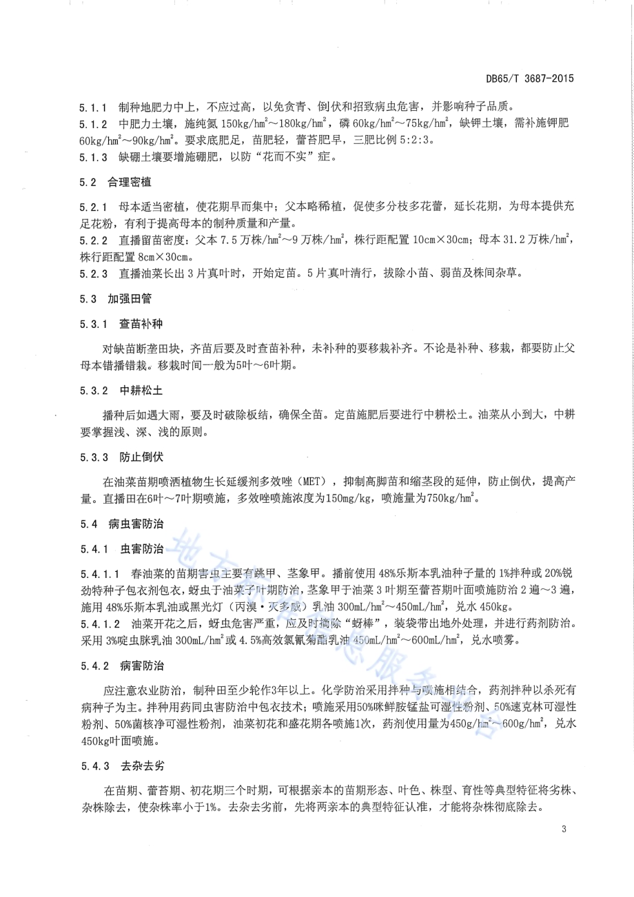 春油菜杂交种制技术规程DB65／T 3687-2015.pdf_第5页