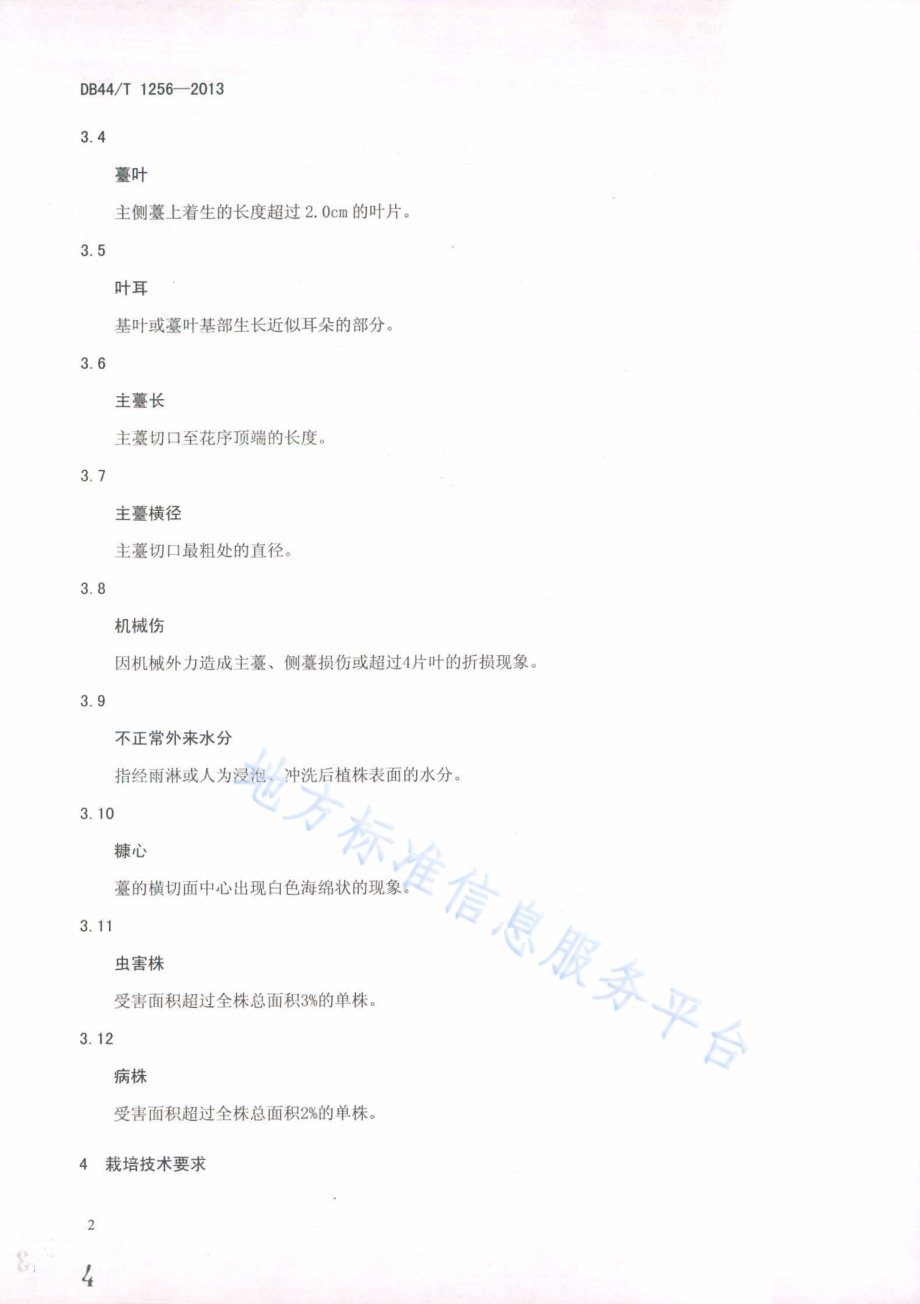 地理标志产品 增城迟菜心DB44／T 1256-2013.pdf_第4页