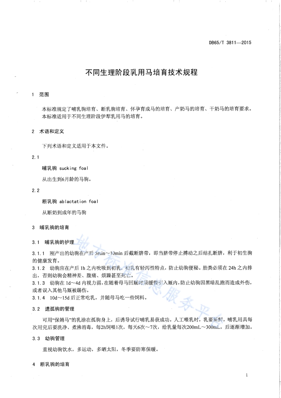 不同生理阶段乳用马培育技术规程DB65／T 3811-2015.pdf_第3页