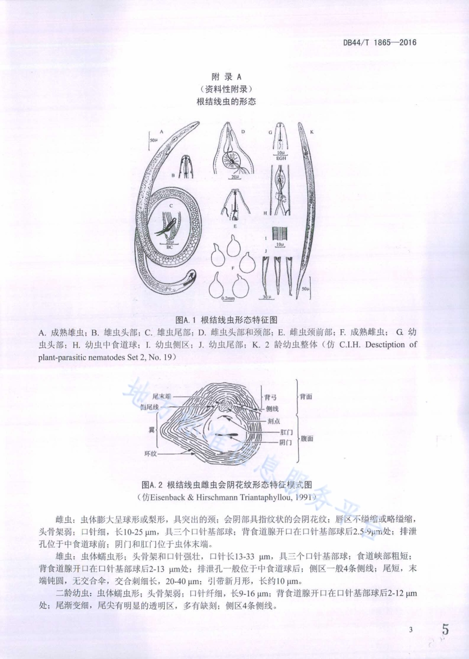 露地番茄根结线虫病防控技术规程DB44／T 1865-2016.pdf_第5页