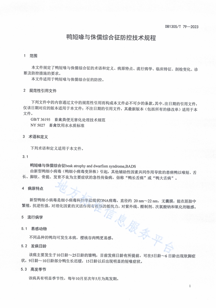 鸭短喙与侏儒综合征防控技术规程DB1305／T 79-2023.pdf_第3页