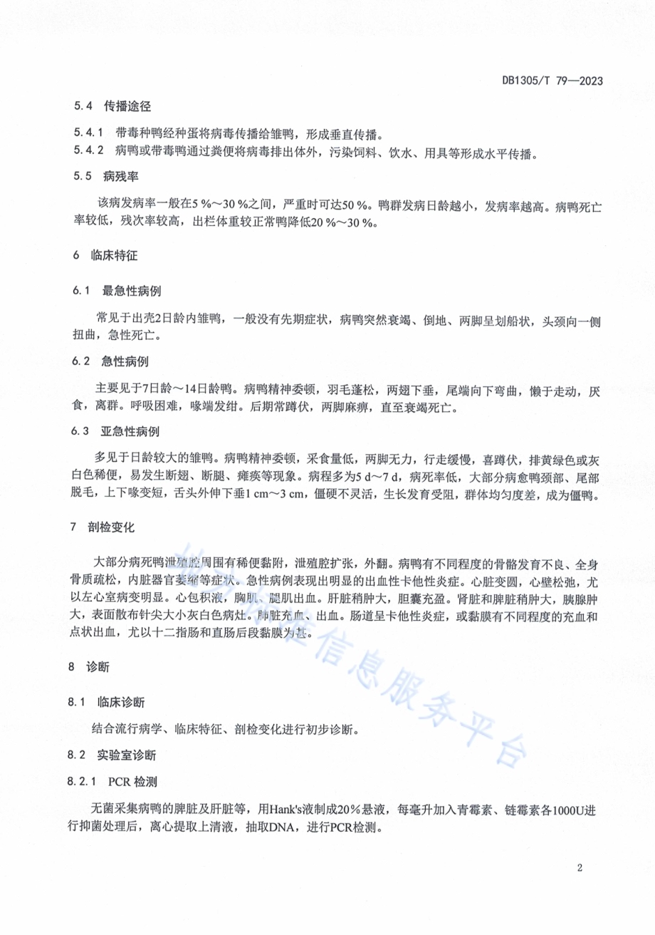鸭短喙与侏儒综合征防控技术规程DB1305／T 79-2023.pdf_第4页