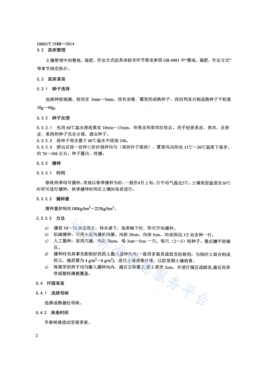 西伯利亚白刺栽培技术规程DB65／T 3588-2014.pdf_第4页