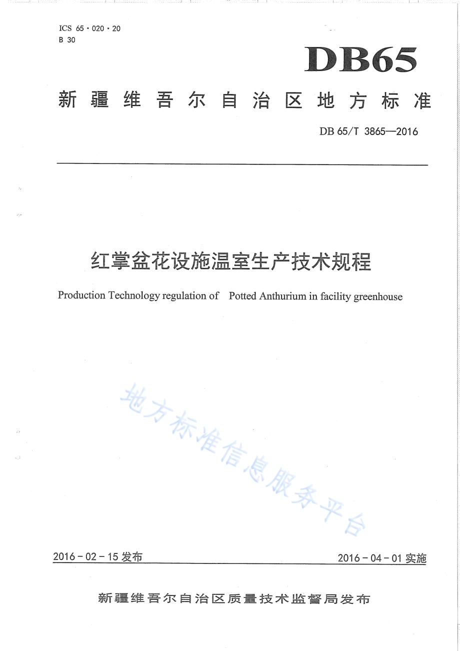 红掌盆花设施温室生产技术规程DB65／T 3865-2016.pdf_第1页