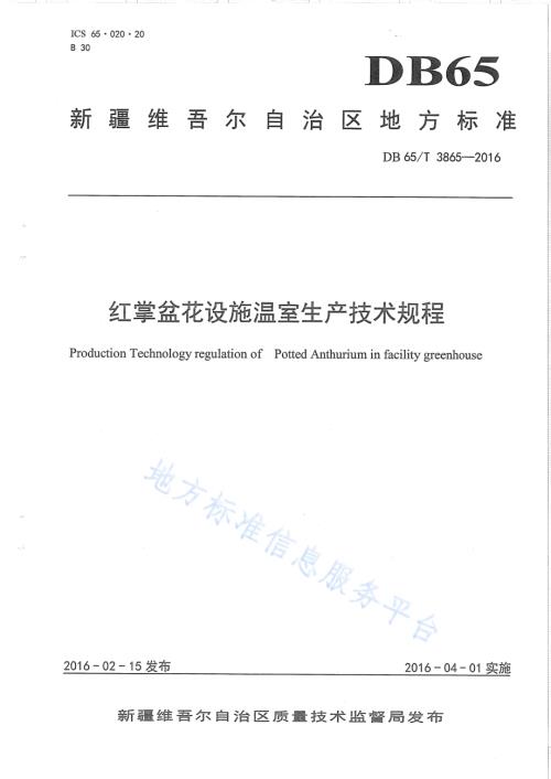 红掌盆花设施温室生产技术规程DB65／T 3865-2016.pdf