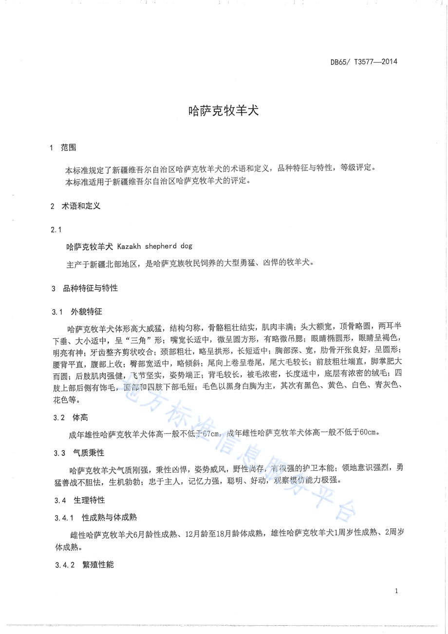 哈萨克牧羊犬DB65／T 3577-2014.pdf_第3页