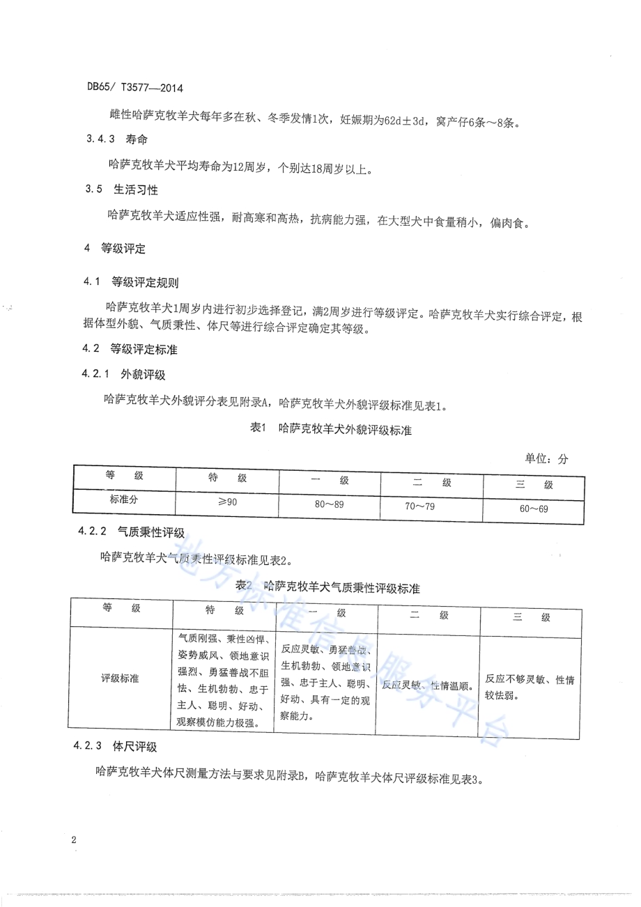 哈萨克牧羊犬DB65／T 3577-2014.pdf_第4页