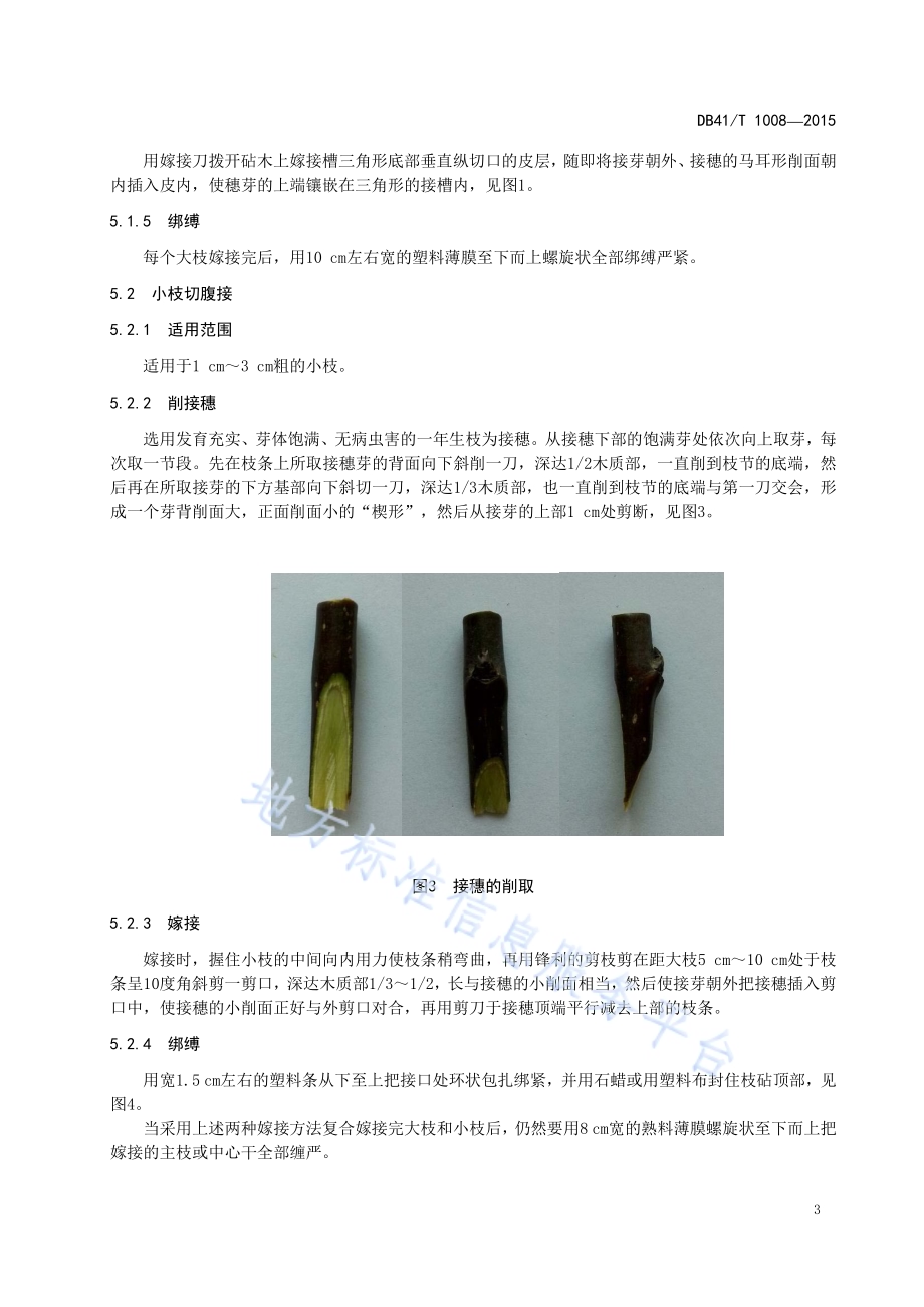 梨高接换种操作技术规程DB41／T 1008-2015.pdf_第5页