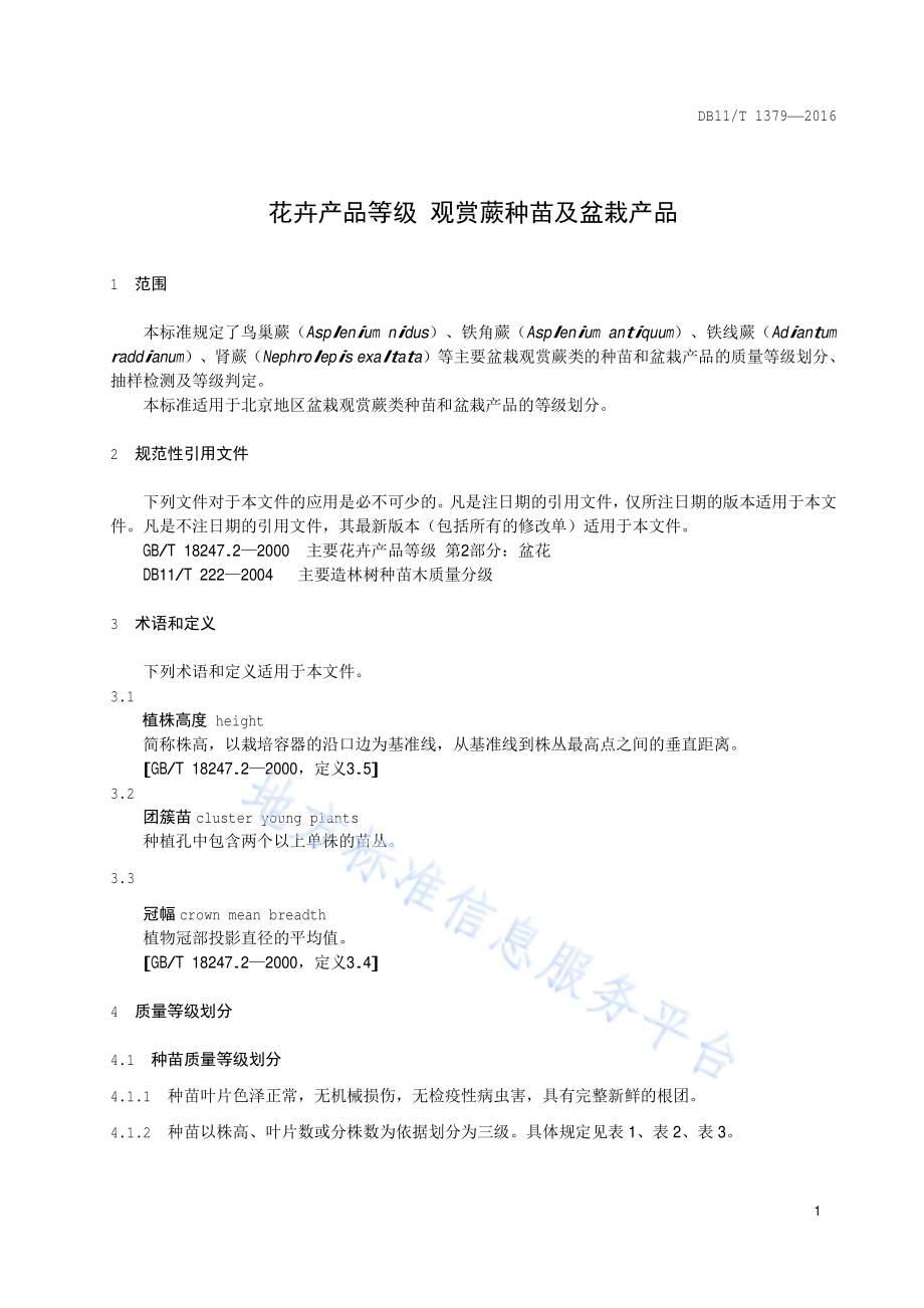 花卉产品等级 观赏蕨种苗及盆栽产品DB11／T 1379-2016.pdf_第4页