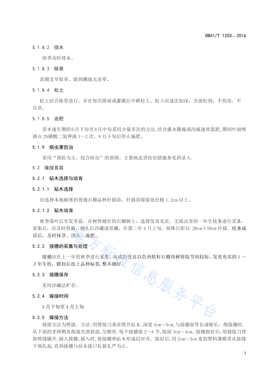 以色列软籽石榴育苗技术规程DB41／T 1255-2016.pdf_第5页