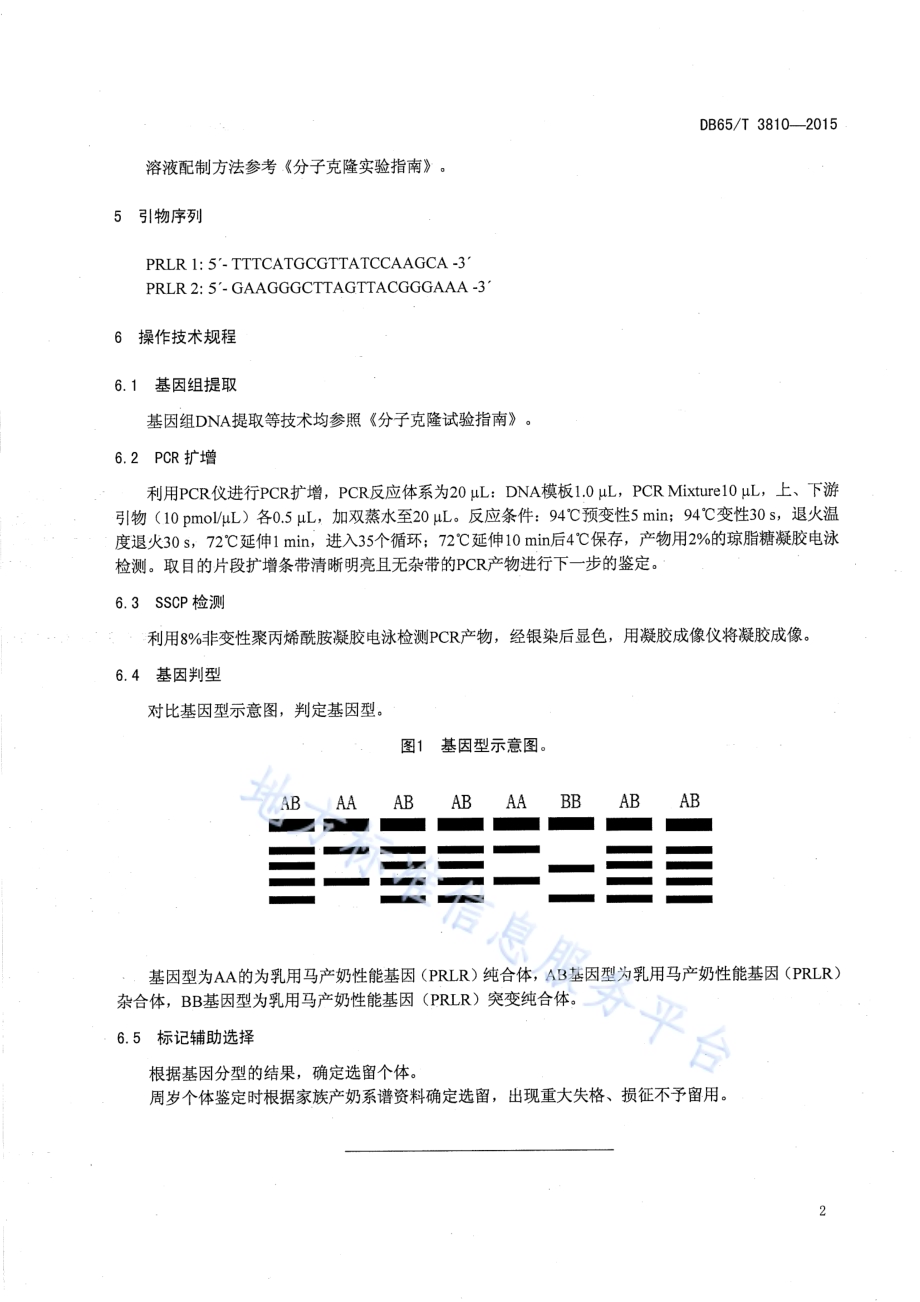 乳用马分子标记辅助选育技术规程DB65／T 3810-2015.pdf_第4页