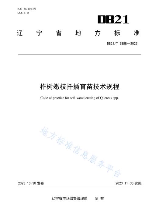 柞树嫩枝扦插育苗技术规程DB21／T 3858-2023.pdf