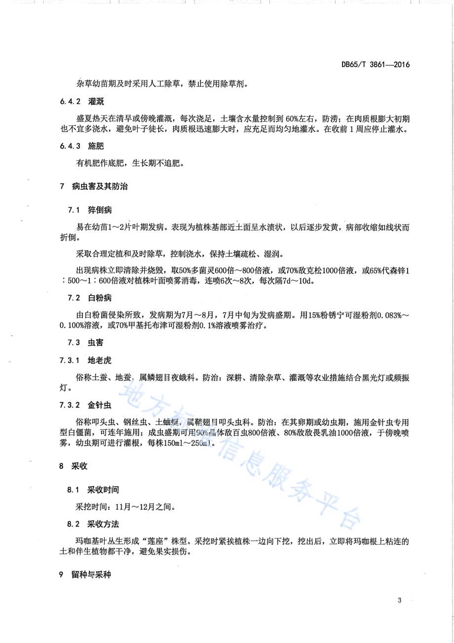 玛咖栽培技术规程DB65／T 3861-2016.pdf_第5页