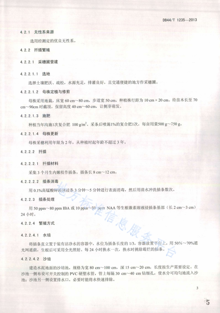 木麻黄栽培技术规程DB44／T 1235-2013.pdf_第5页