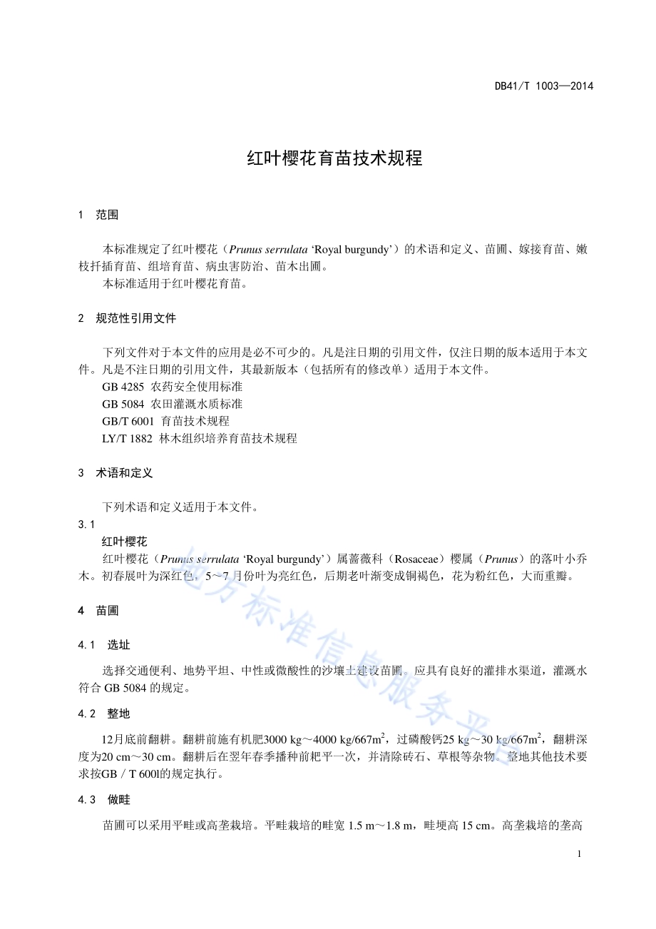 红叶樱花育苗技术规程DB41／T 1003-2014.pdf_第5页