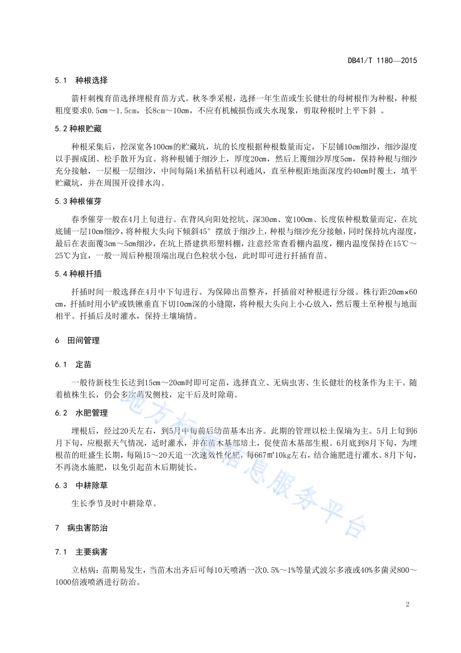 箭杆刺槐育苗技术规程DB41／T 1180-2015.pdf_第4页