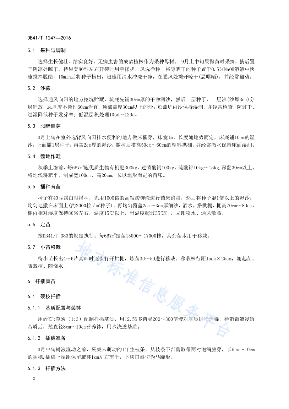 省沽油育苗技术规程DB41／T 1247-2016.pdf_第4页