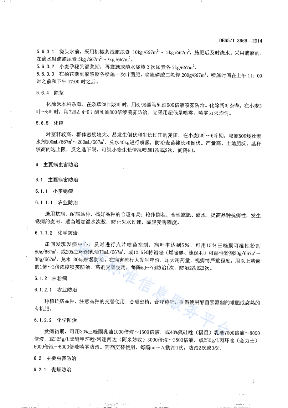 无公害农产品 春小麦500kg667㎡栽培技术规程DB65／T 3666-2014.pdf_第5页