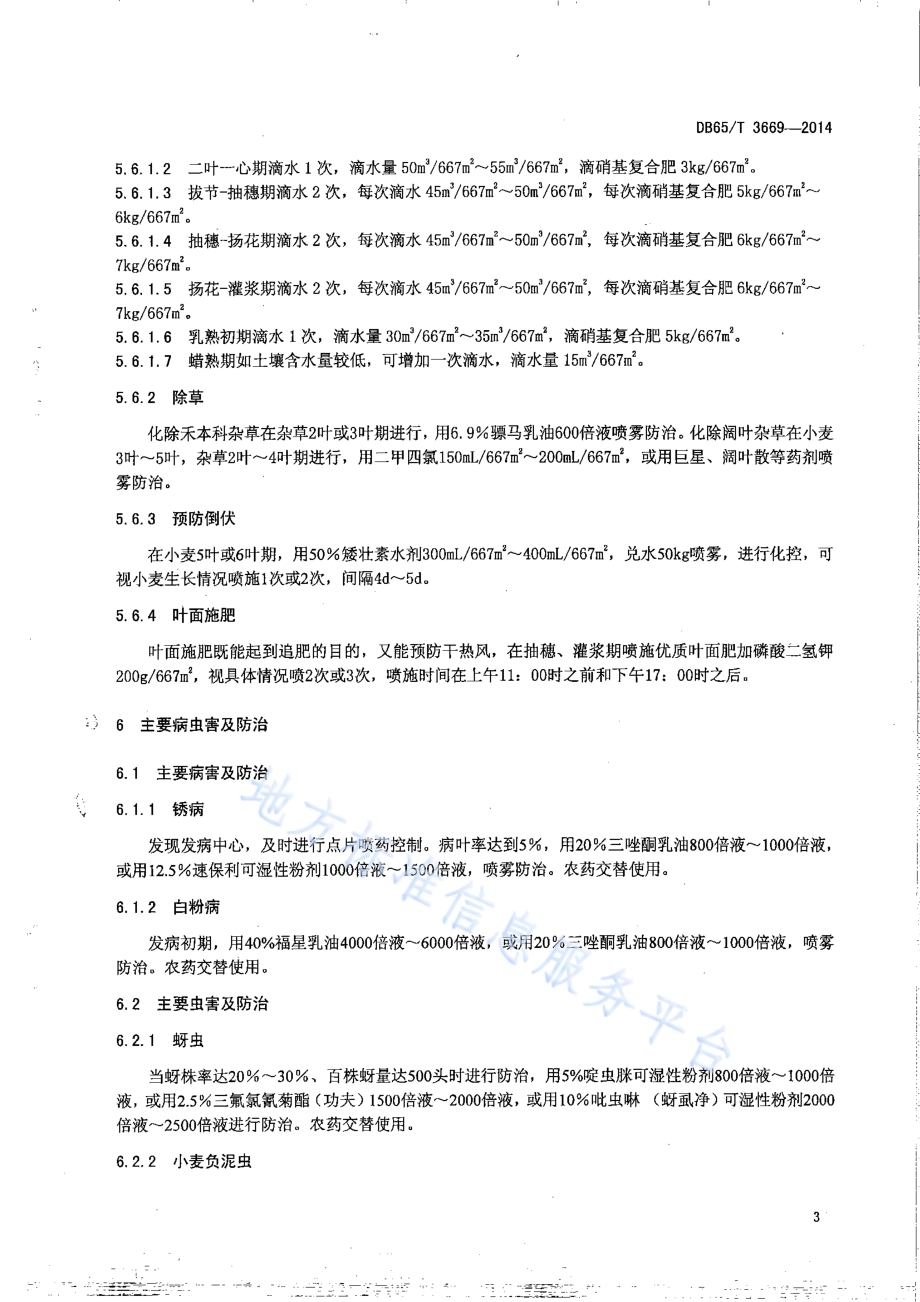 无公害农产品 春小麦滴灌550kg667㎡栽培技术规程DB65／T 3669-2014.pdf_第5页