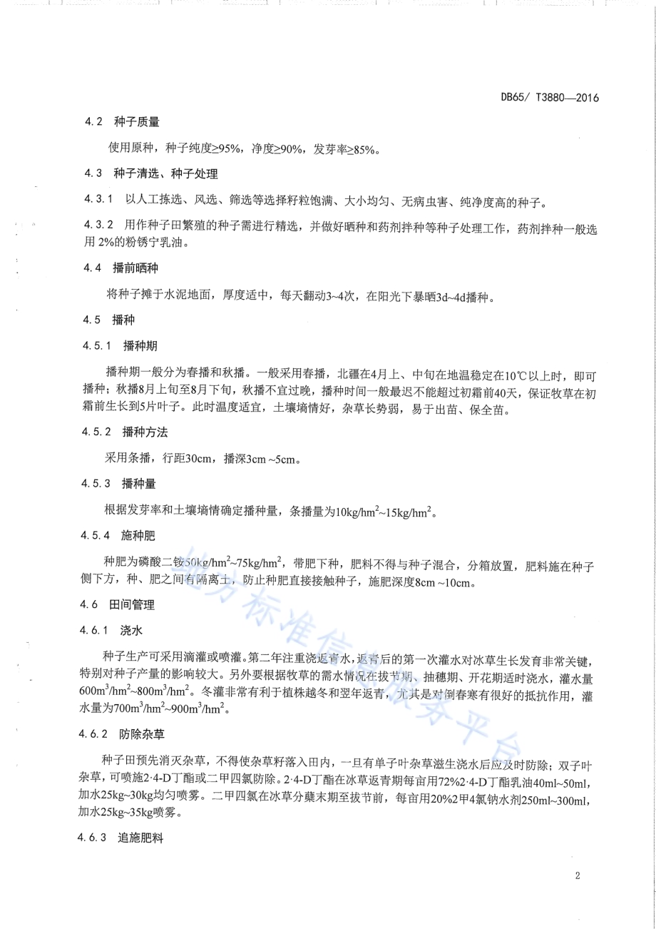 新疆北疆冰草种子生产技术规程DB65／T 3880-2016.pdf_第4页
