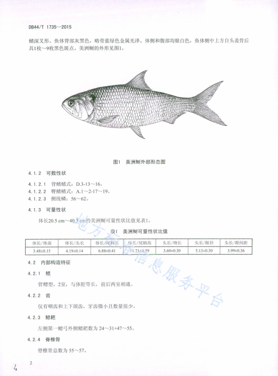 美洲鲥DB44／T 1735-2015.pdf_第4页