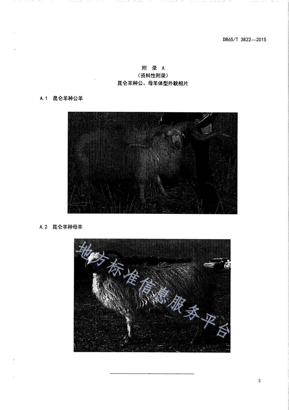 昆仑羊种羊DB65／T 3822-2015.pdf_第5页
